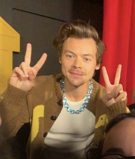 Harry Styles Peace Sign